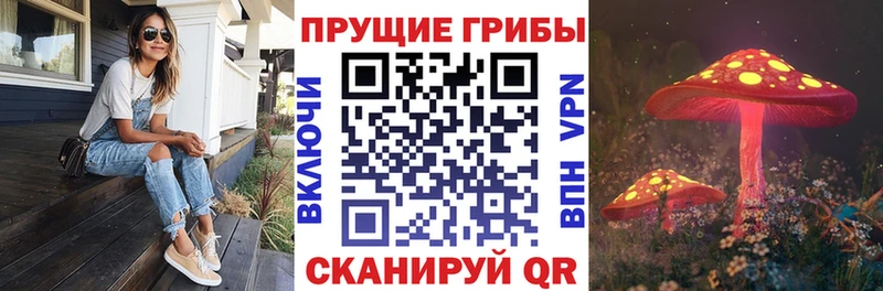 наркотики Орлов Псилоцибиновые грибы Magic Shrooms